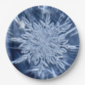 Snowflake Ice Pappteller (Vorderseite)