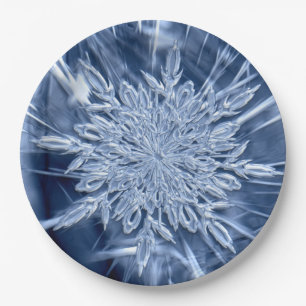 Snowflake Ice Pappteller