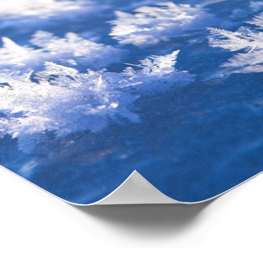 Snowflake Ice Poster (Ecke)
