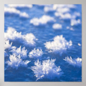 Snowflake Ice Poster (Vorne)