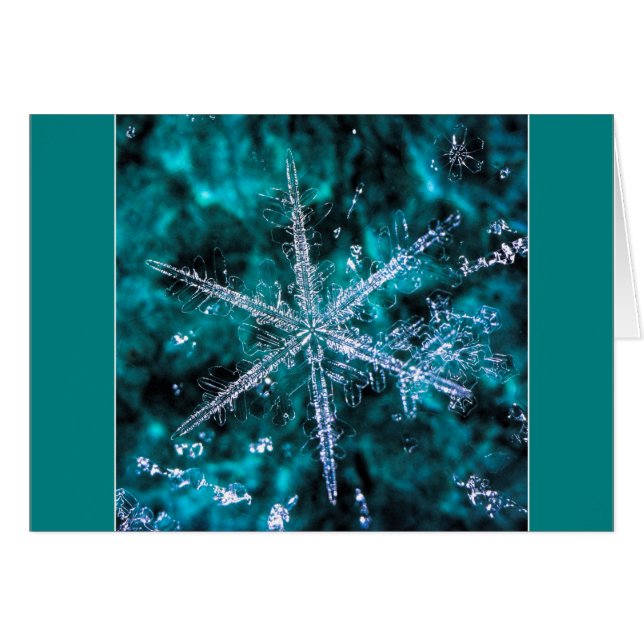 Snowflake Macro Foto Ihre eigene Textkarte hinzufü (Vorderseite (Horizontal))