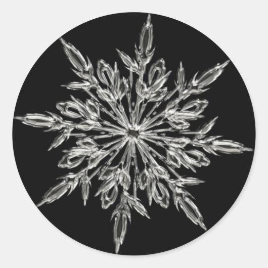 Snowflake Round Sticker (Vorderseite)