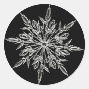 Snowflake Round Sticker
