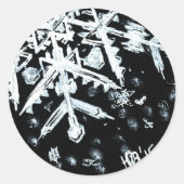 Snowflake Stickers (Vorderseite)