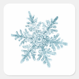 Snowflake Stickers