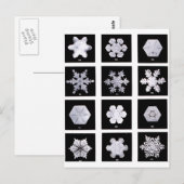Snowflake Teller Wetterfotografie Postkarte (Vorne/Hinten)
