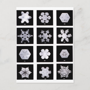 Snowflake Teller Wetterfotografie Postkarte