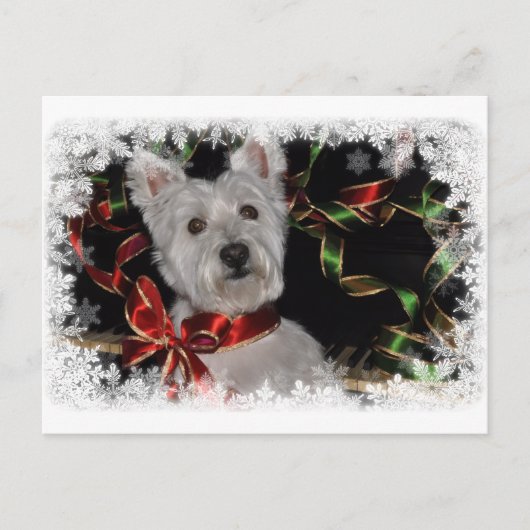 Snowflake Westie Postkarte (Vorderseite)