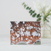 Snowflakes postkarte (Stehend Vorderseite)