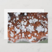 Snowflakes postkarte (Vorne/Hinten)