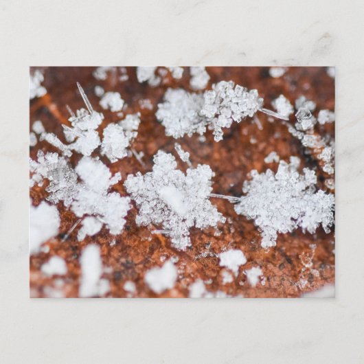 Snowflakes postkarte (Vorderseite)