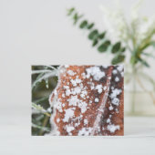 Snowflakes  postkarte (Stehend Vorderseite)