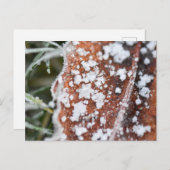 Snowflakes  postkarte (Vorne/Hinten)