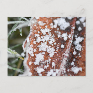 Snowflakes  postkarte