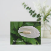 Snowflower Postcard Postkarte (Stehend Vorderseite)