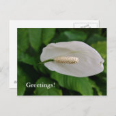 Snowflower Postcard Postkarte (Vorne/Hinten)