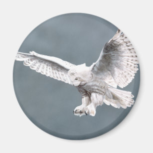 Snowings Magnet
