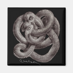 "Snowl"-Öko-Kühlschrankmagnet Magnet