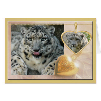 Snowleopard-00457