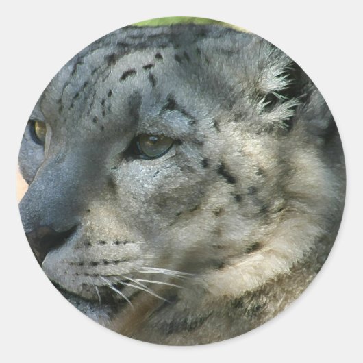Snowleopard Runder Aufkleber (Vorderseite)