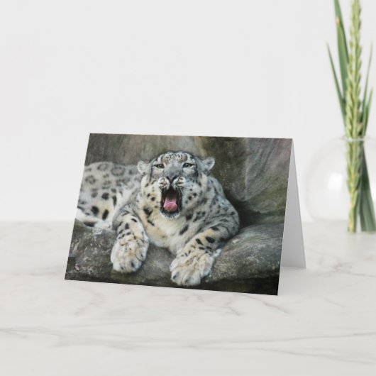 SnowLeopardBCR007 Feiertagskarte (Vorderseite)