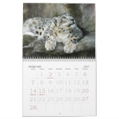SnowLeopardBCR007, Schnee-Leopard Kalender (Feb 2027)