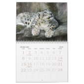 SnowLeopardBCR007, Schnee-Leopard Kalender (Feb 2026)