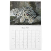 SnowLeopardBCR012, Schnee-Leopard Kalender (Mär 2027)