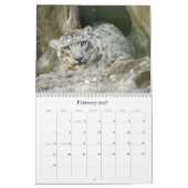 SnowLeopardBCR012, Schnee-Leopard Kalender (Feb 2027)