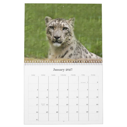 SnowLeopardBCR012, Schnee-Leopard Kalender (Jan 2027)