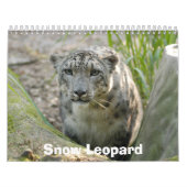 SnowLeopardBCR012, Schnee-Leopard Kalender (Titelbild)
