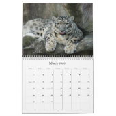 SnowLeopardBCR012, Schnee-Leopard Kalender (Mär 2026)