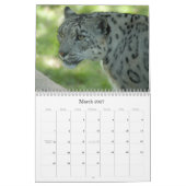 SnowLeopardM002, Schnee-Leopard Kalender (Mär 2027)