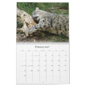 SnowLeopardM002, Schnee-Leopard Kalender (Feb 2027)