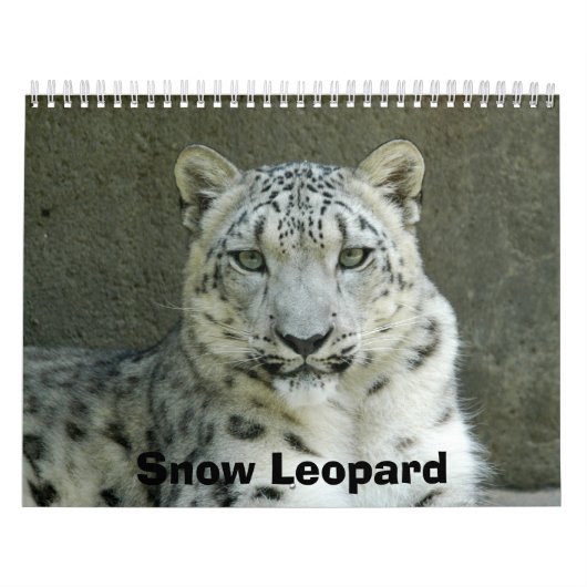 SnowLeopardM002, Schnee-Leopard Kalender (Titelbild)