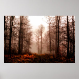 Snowless Wald des drastischen roten nebeligen Poster