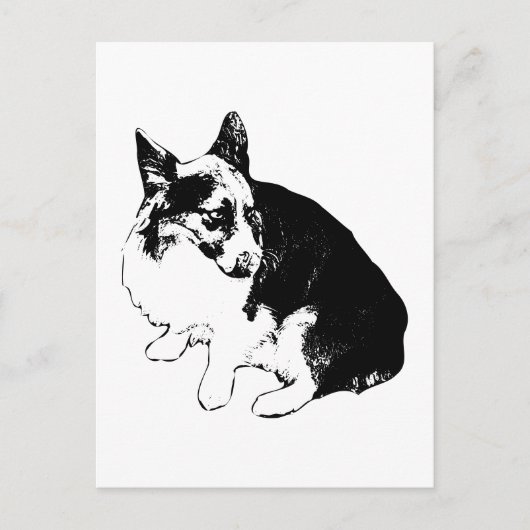 Snowlight Hello, Little Fox Postkarte (Vorderseite)