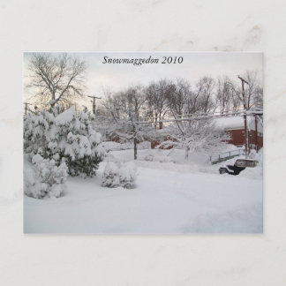 Snowmaggedon 2010 postkarte