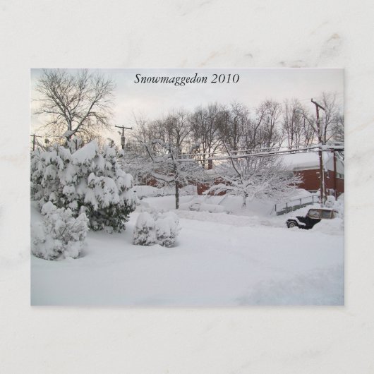 Snowmaggedon 2010 postkarte (Vorderseite)
