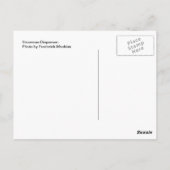 Snowman Dispenser Postkarte (Rückseite)