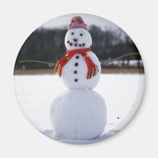 Snowman Field Magnet (Vorne)