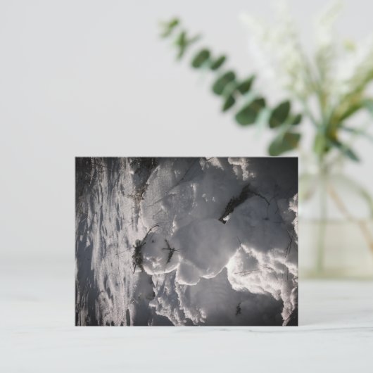 Snowman Foto Postcard Postkarte (Stehend Vorderseite)