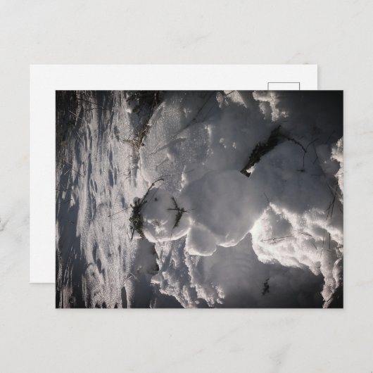 Snowman Foto Postcard Postkarte (Vorne/Hinten)