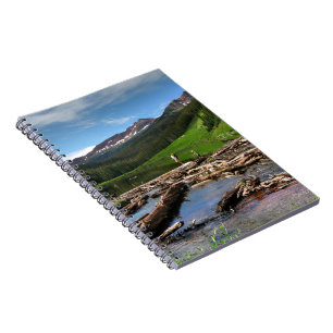 Snowmass Creek Aspen Colorado Notizblock