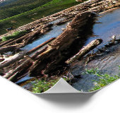 Snowmass Creek Aspen Colorado Poster (Ecke)