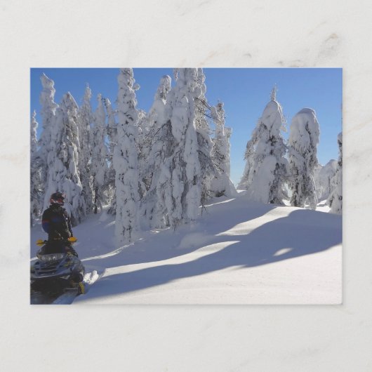 Snowmobiler Winterscape Postcard Postkarte (Vorderseite)