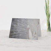 SnowPeacock Dankeskarte (Vorderseite)