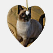 Snowshoe-Kätzchen-Geschenke Keramikornament (Rechts)