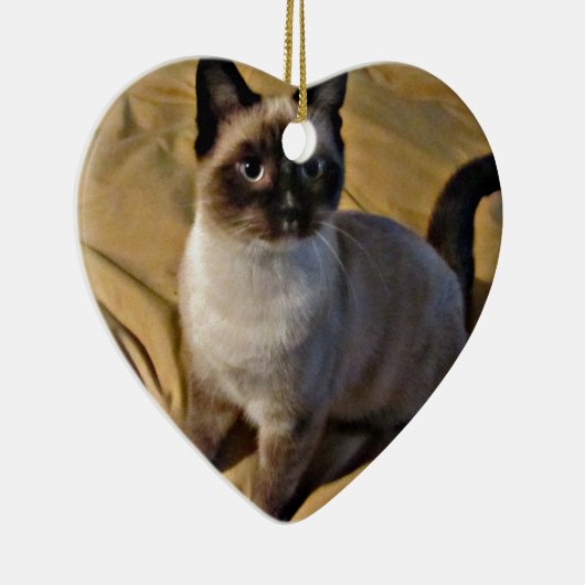 Snowshoe-Kätzchen-Geschenke Keramikornament (Rechts)