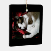 Snowshoe Tartan-Miezekatze Keramikornament (Rechts)